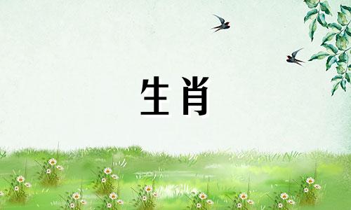 2022年出生的十二生肖守护神是哪些