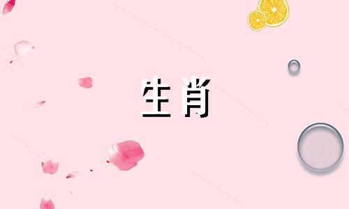 2016年属龙每日运势查询与运程分析