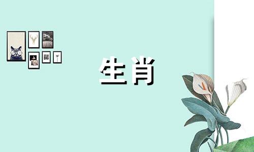 属猪人的最佳婚配指南：揭秘与哪些生肖结合最和谐，夫妻相克分析惊人准确！