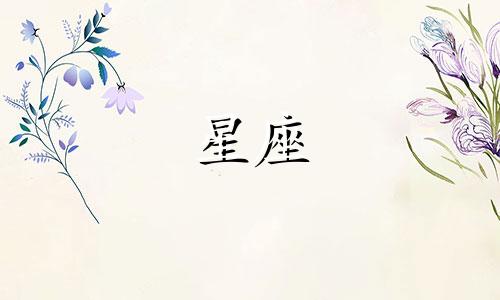 2024年摩羯座运势详解：全方位探索你的星座运程