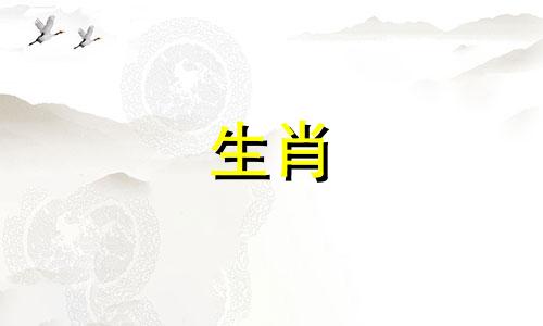 属龙的婚配最佳属相表 2020年最佳婚配查询