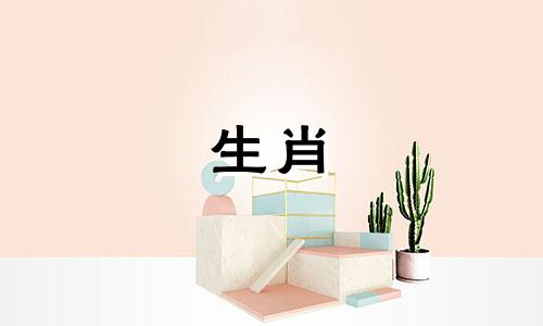 兔子、鸡、老虎和蛇分别对应的生肖是什么?与兔子相合的生肖又是什么?