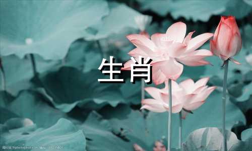 关于十二生肖守护神的说法，在佛教经典中并没有明确的记载。然而，在民间信仰和一些佛教派别中，确实有将某些