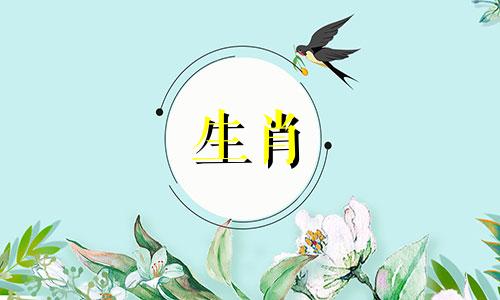 十二时辰中的丑时对应的是什么生肖？