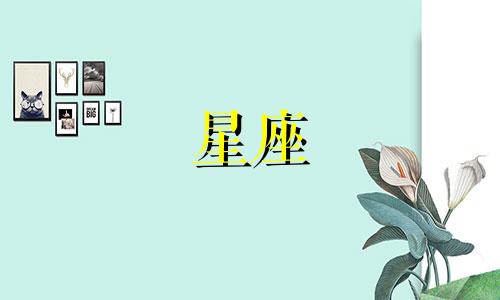 探索十二款适合年轻女孩的星座纹身设计，轻松在家自行纹制。