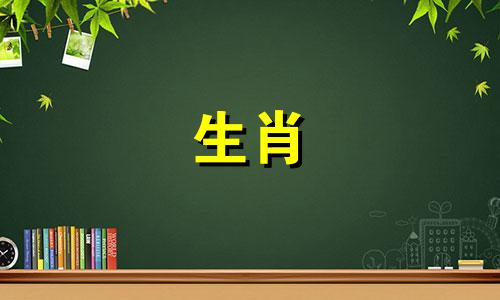 属马人的完美婚配指南：全解析属相马的婚配大全