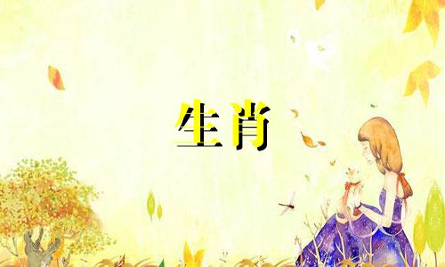 属虎女性的最佳婚配生肖分析 探索与属虎女性最匹配的生肖伴侣