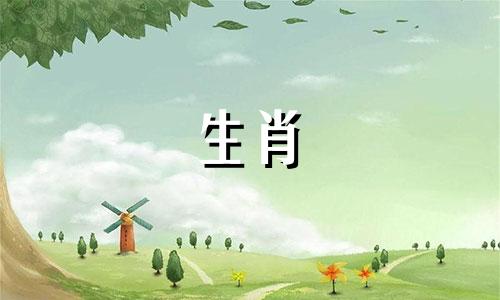 十二生肖各自代表的命是什么？