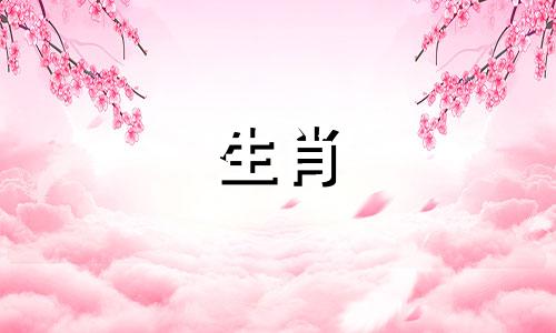 星座与生肖配对情况表 生日版