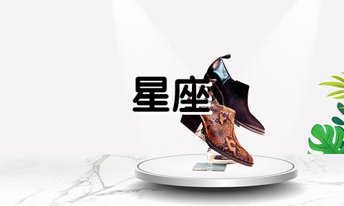 十二星座在皇宫中的地位如何，以及它们所对应的宫殿是什么样子的呢？