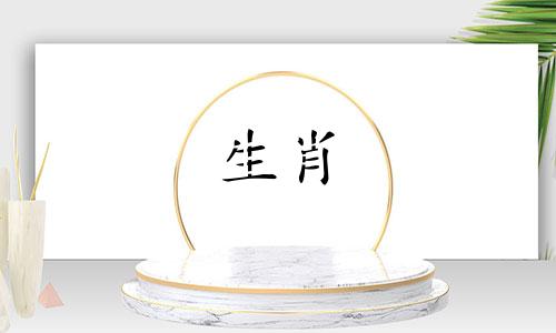 鸡年十二生肖运势解析：属鸡人士的婚姻匹配、性格特征、财富走向及事业发展预测