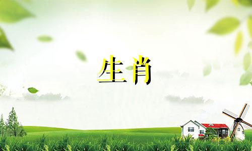 属猴的男性与哪些生肖的女性婚配最为理想 属猴男的理想生肖婚配指南,属猴者最适合与谁结婚