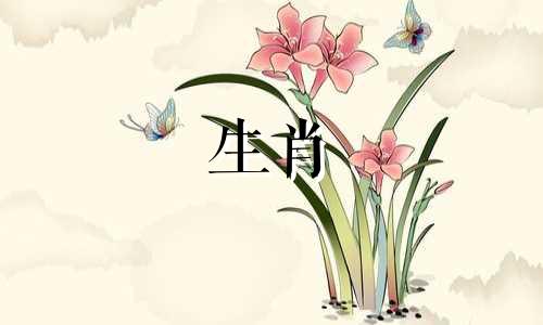 十二生肖与本命颜色对照图解