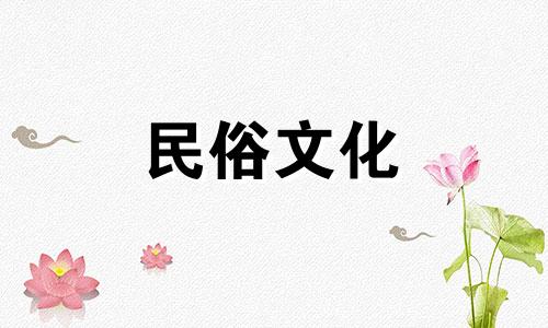 探索古风水彩植物绘制的基础知识与技巧 水彩绘画要点