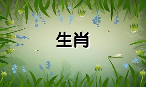 牛年男性的三个最佳婚配属相：探索属牛男性的理想婚姻匹配