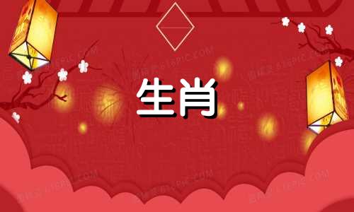 属牛人的最佳婚姻配对属相表