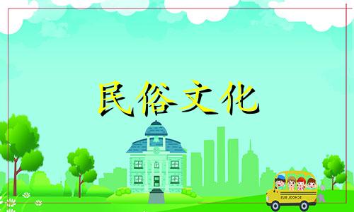 数理56代表的数字是56，而1 81数理代表的数字是181。这里的数理可能