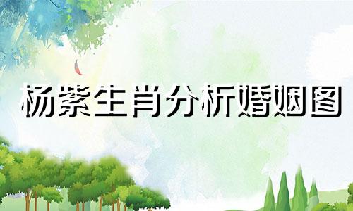 杨紫生肖分析婚姻图 杨紫生肖