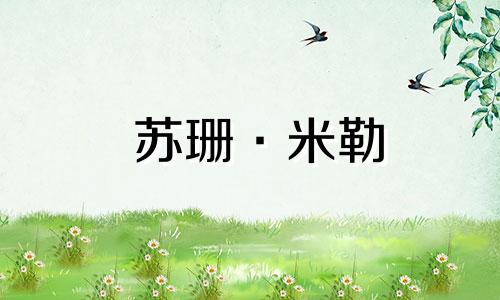 苏珊·米勒 (Susan Miller) 双子座每月星座运势 2023 年 12 月