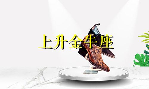 上升金牛座 性格分析 上升金牛座分析