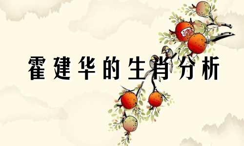 霍建华的生肖分析 霍建华的生肖是什么?