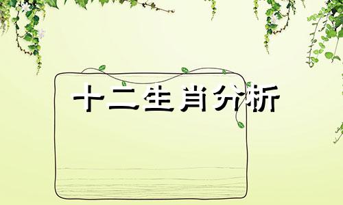 十二生肖分析 我分析了一遍又一遍你的生肖