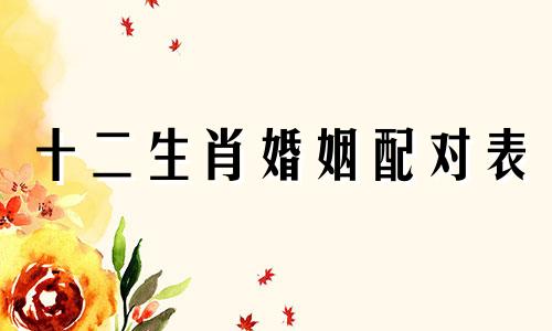 十二生肖婚姻配对表 本周十二生肖男士婚姻图解分析