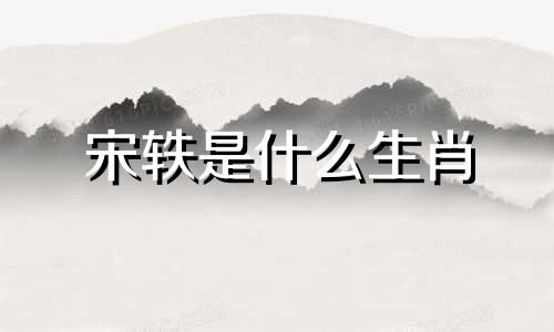 宋轶是什么生肖 宋轶身高生肖分析