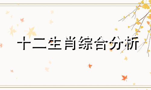 十二生肖综合分析 诚品书店十二生肖分析怎么写