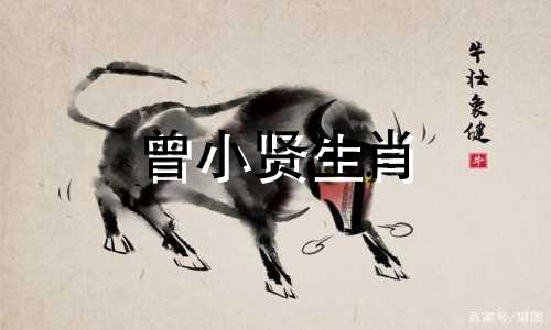 曾小贤生肖 万宇生肖外观解析图