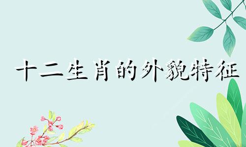 十二生肖的外貌特征 中国十二生肖平均外貌分析