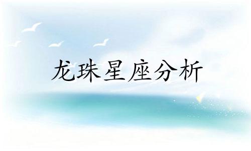 龙珠星座分析 龙珠孙悟空星座