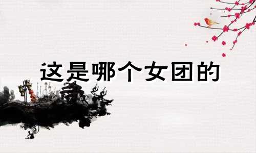 这是哪个女团的 韩国娱乐女团星座分析图