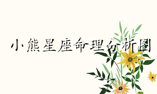 小熊星座命理分析图 小熊星座和大熊星座的作用是什么？