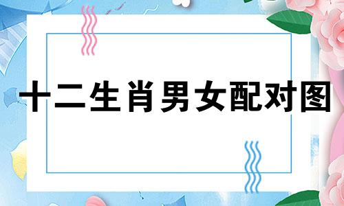 十二生肖男女配对图 男女生肖配对分析(王鸥真实生肖分析表)