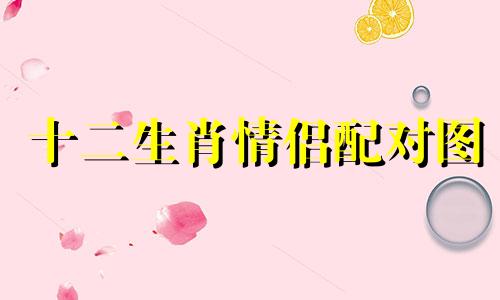 十二生肖情侣配对图 十二生肖近期关系分析图
