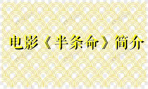 电影《半条命》简介 半条命人物星座分析
