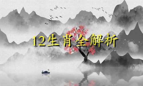 12生肖全解析 生肖视频讲解