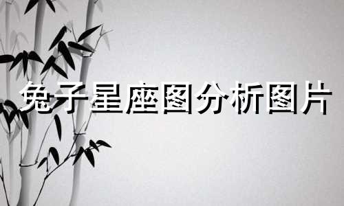 兔子星座图分析图片 12星座卡通图片,加上各星座的特点