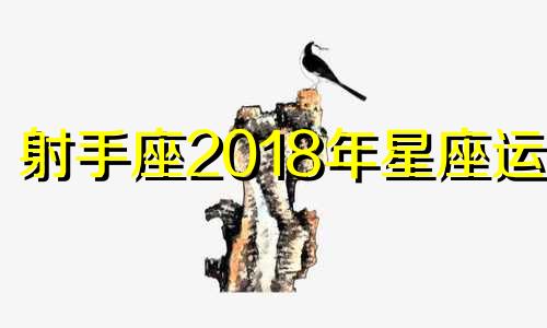 射手座2018年星座运势 射手座2018年星座运势分析