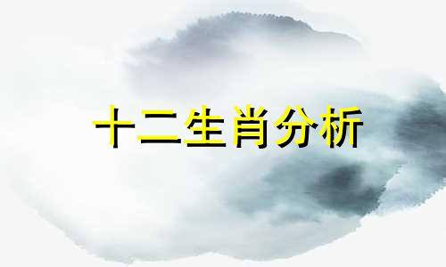 十二生肖分析 十二生肖深度揭秘图表及分析全集