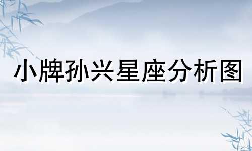 小牌孙兴星座分析图 孙兴是什么生肖以及孙兴的个人信息