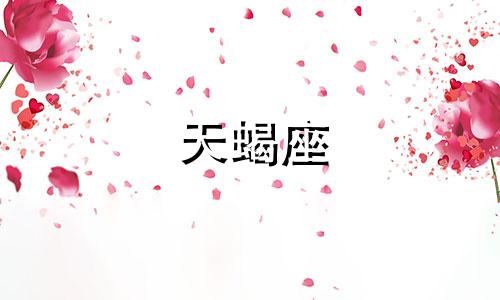 天蝎座 2023 年 12 月星座运势