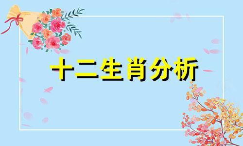 十二生肖分析 小龙虾十二生肖分析表