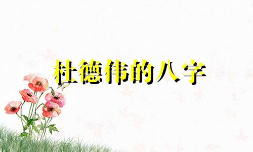 杜德伟的八字 杜德伟的命理性格分析