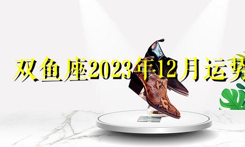 双鱼座2023年12月运势