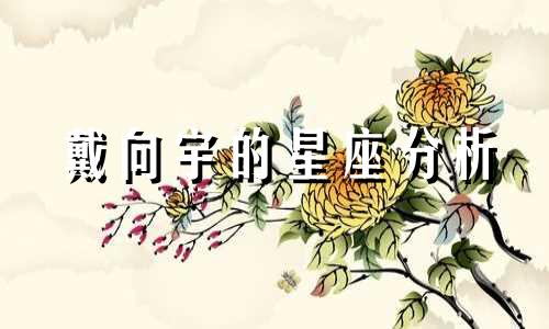 戴向宇的星座分析 戴向宇的面相分析