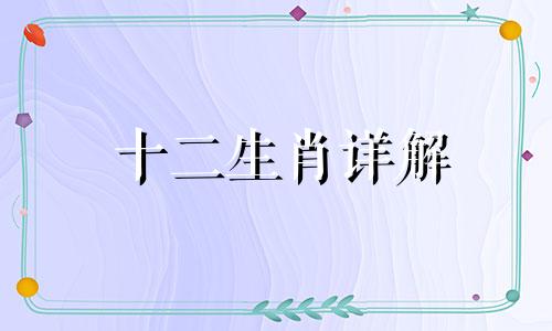十二生肖详解 十二生肖分段分析与应用