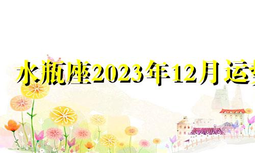 水瓶座2023年12月运势