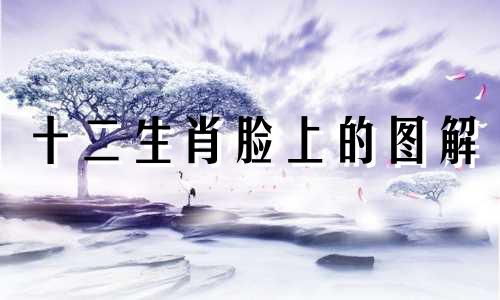 十二生肖脸上的图解 十二生肖的相貌分析图解